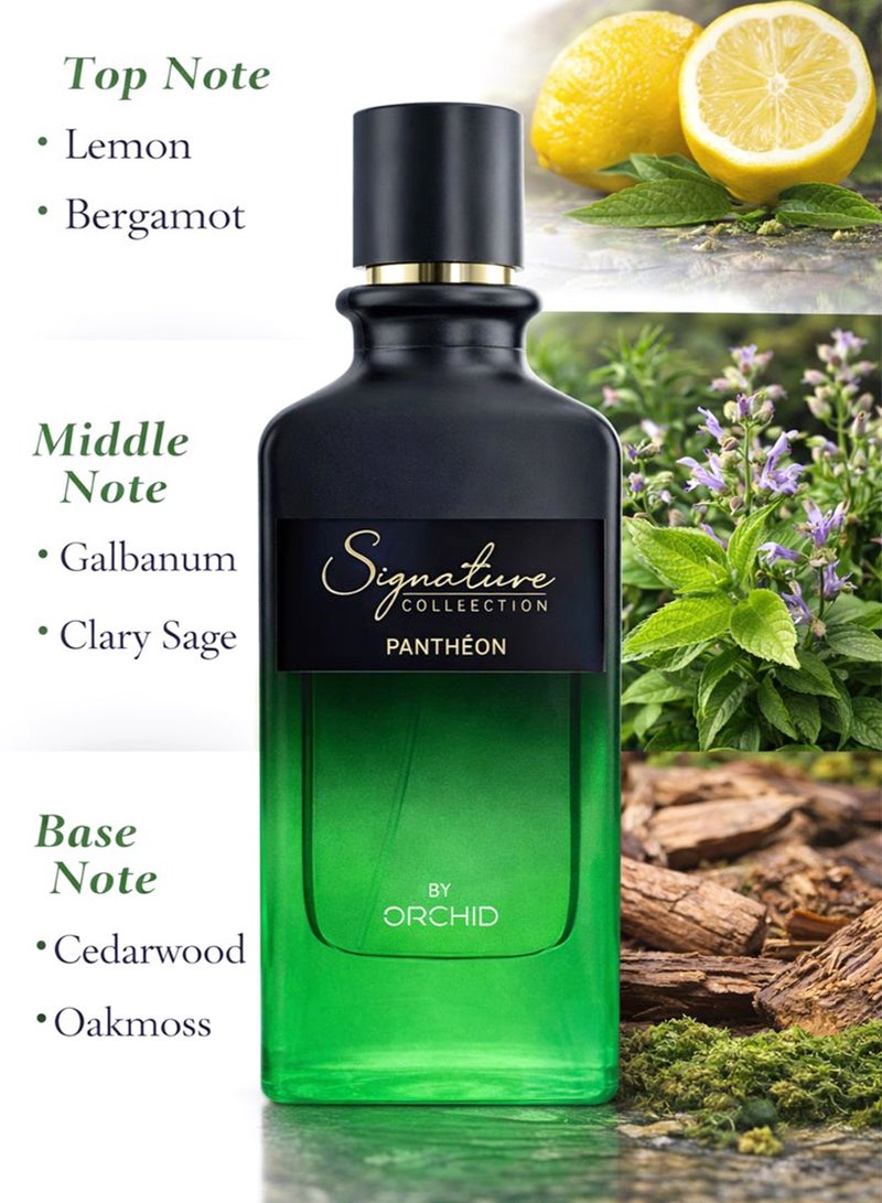 Orchid Signature Pantheon Pour Homme Eau de Parfum 100ml for Men | Orchid | Long Lasting Fresh Woody Citrus Perfume - Image 2